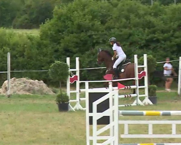 Reitturnier Bad Windsheim/Mfr. 2022