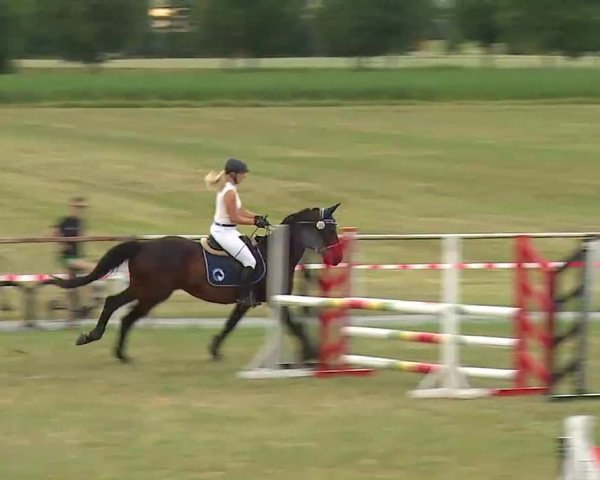 Reitturnier Bad Windsheim/Mfr. 2022
