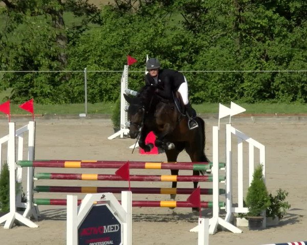Reitturnier Maienfeld 2022