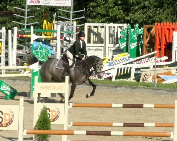 Reitturnier Maienfeld 2022