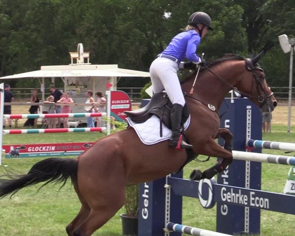 Reitturnier Schillerslage 2022