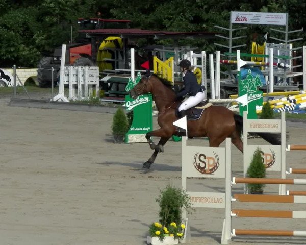 Reitturnier Maienfeld 2022