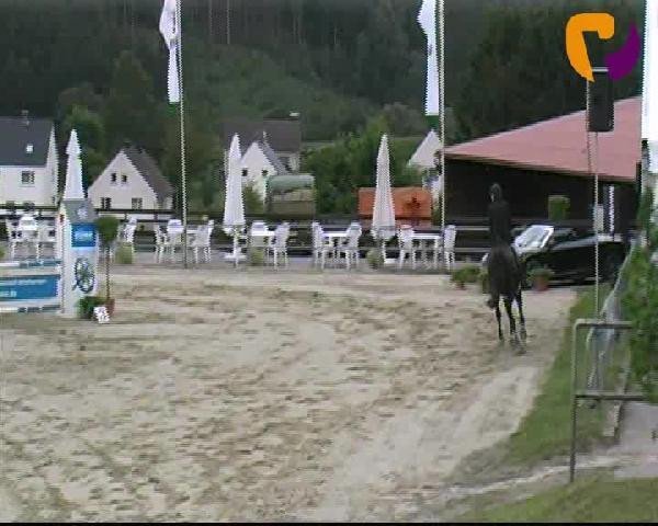 jumper Qaramba 3 (Westphalian, 2007, from Quidam's Rubin)
