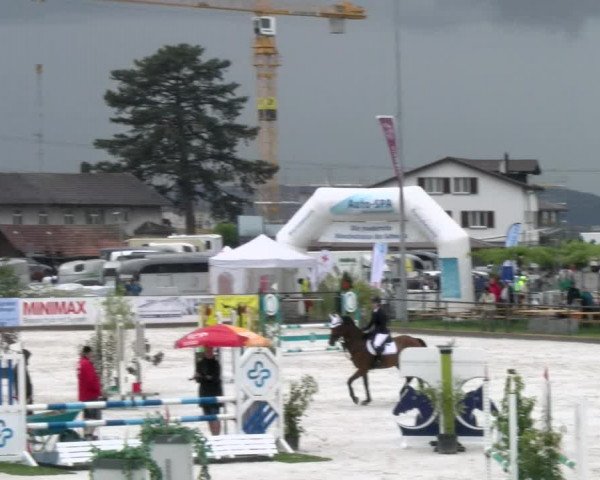 Reitturnier Gossau 2022