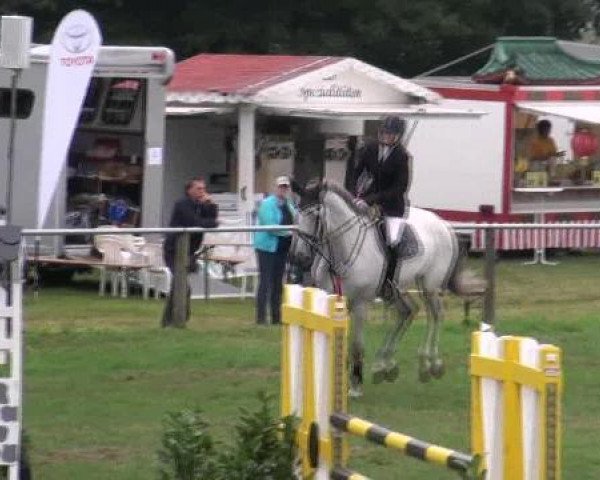 Springpferd Castiel (Holsteiner, 2005, von Corrado I)
