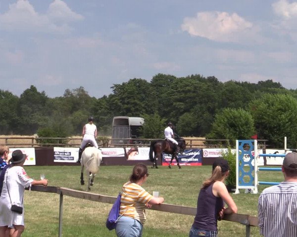 Reitturnier Schillerslage 2022