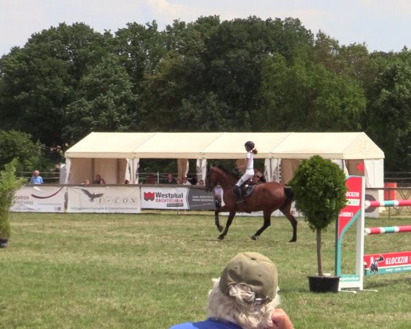 Reitturnier Schillerslage 2022