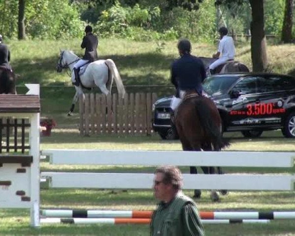 broodmare Carpina (Saxony-Anhaltiner, 2002, from Convoi)