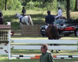 broodmare Carpina (Saxony-Anhaltiner, 2002, from Convoi)