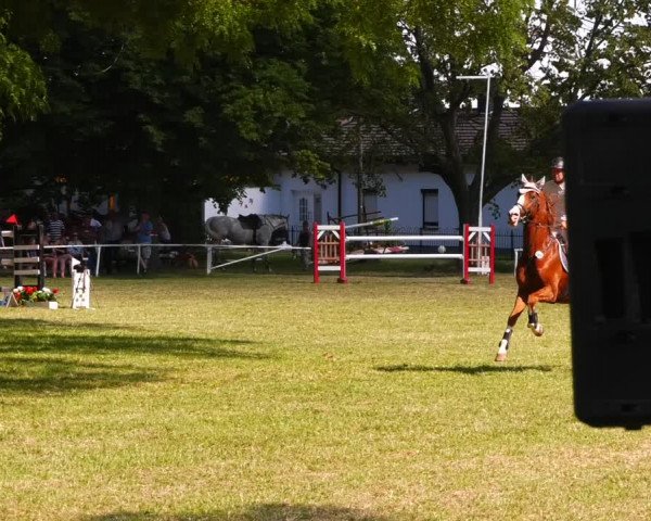 Reitturnier Schwittersdorf-Beesenstedt 2022