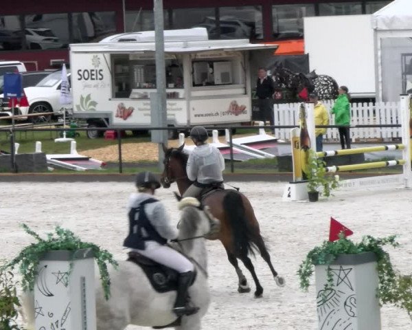 Reitturnier Gossau 2022