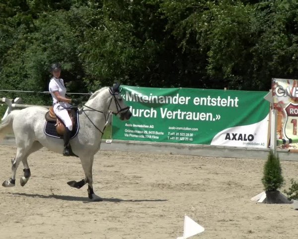 Reitturnier Maienfeld 2022