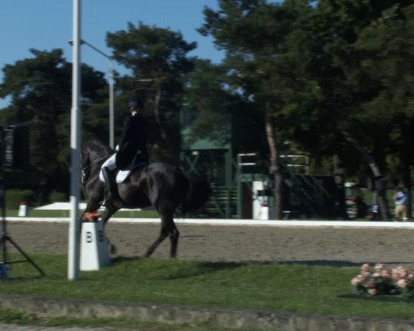 Reitturnier W, Wien-Freudenau/ASKÖ 2022