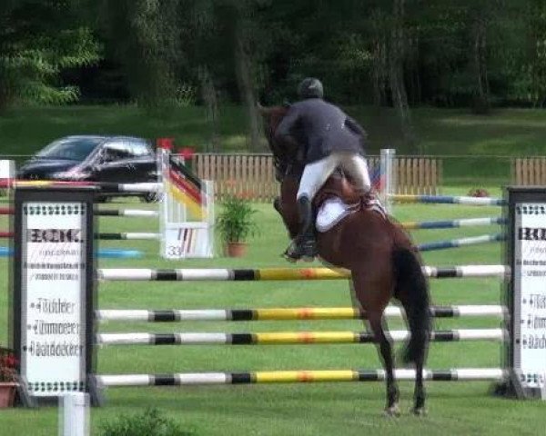 Springpferd Lina 138 (Deutsches Sportpferd, 2006, von Lalique)