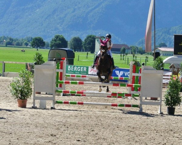 jumper Catani is ready to fly (Bavarian, 2002, from Compliment)