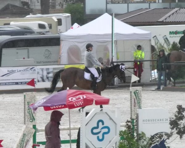 Reitturnier Gossau 2022