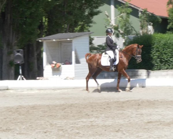 Reitturnier W, Wien-Freudenau/ASKÖ 2022