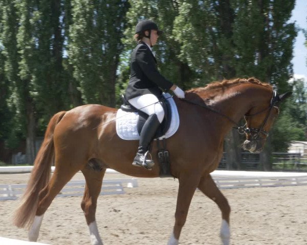 Reitturnier W, Wien-Freudenau/ASKÖ 2022