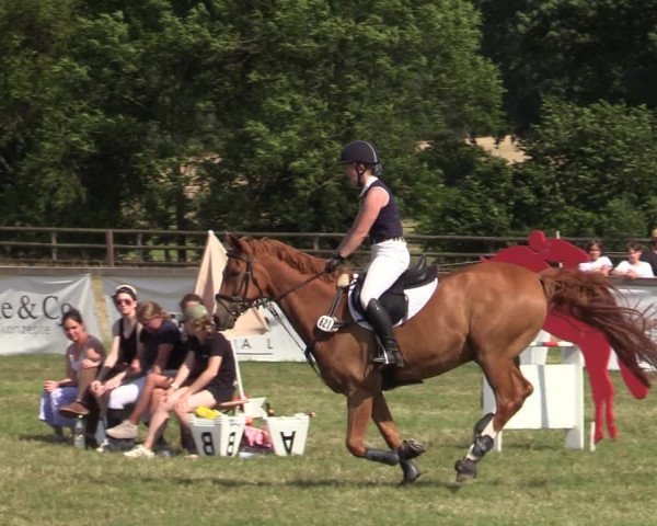 Reitturnier Schillerslage 2022