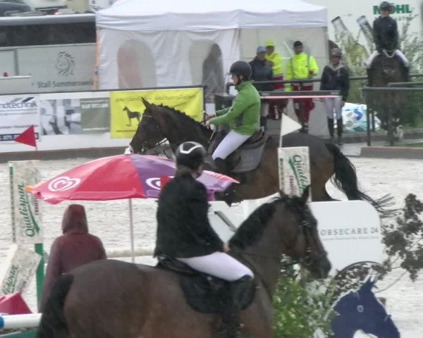 Reitturnier Gossau 2022