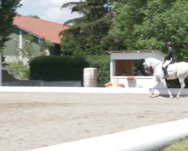 Reitturnier W, Wien-Freudenau/ASKÖ 2022