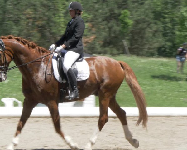 Reitturnier W, Wien-Freudenau/ASKÖ 2022