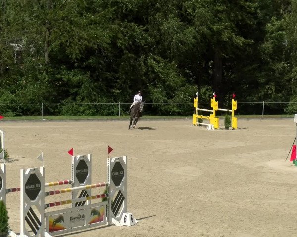 Reitturnier Maienfeld 2022