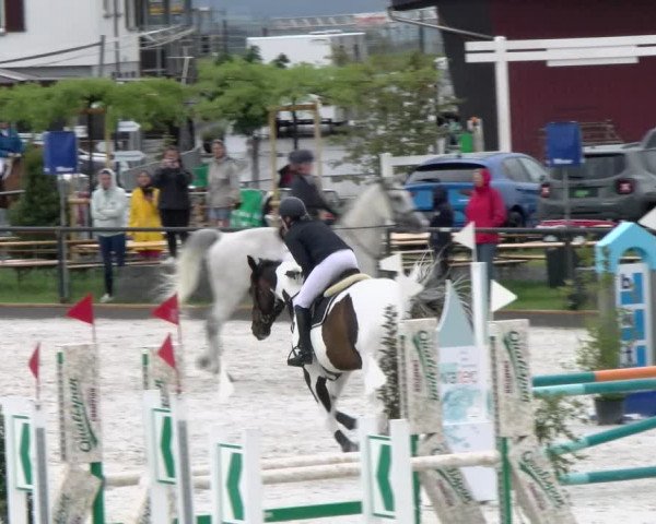 Reitturnier Gossau 2022