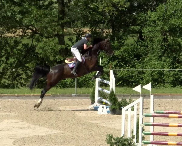 Reitturnier Maienfeld 2022