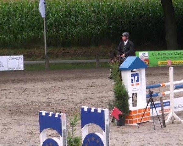 jumper Victor 99 (Hanoverian, 1999, from Voltaire)