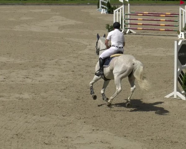 Reitturnier Maienfeld 2022
