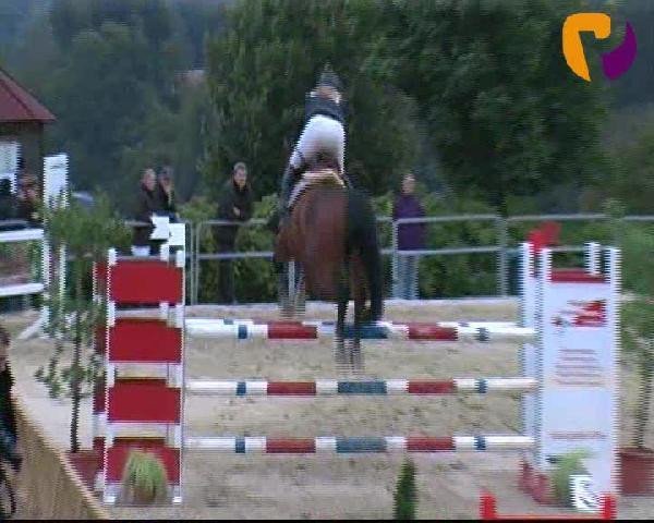 broodmare Dija 3 (Hanoverian, 2005, from Drosselklang II)