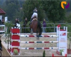 broodmare Dija 3 (Hanoverian, 2005, from Drosselklang II)