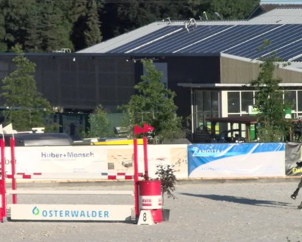 Reitturnier Gossau 2022