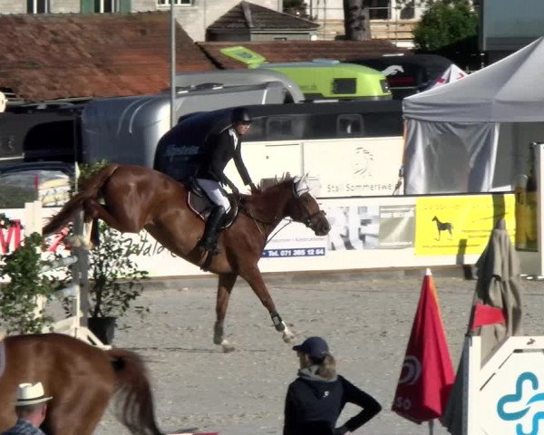 Reitturnier Gossau 2022