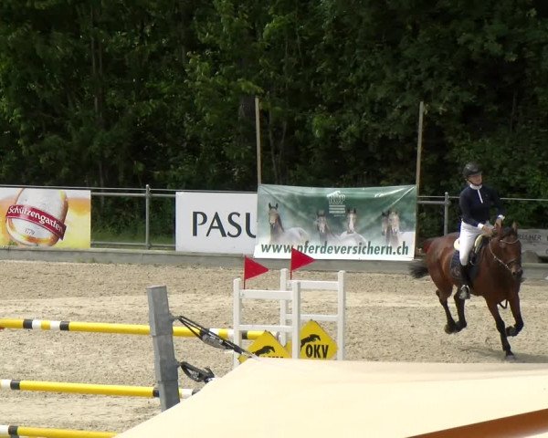 Reitturnier Maienfeld 2022