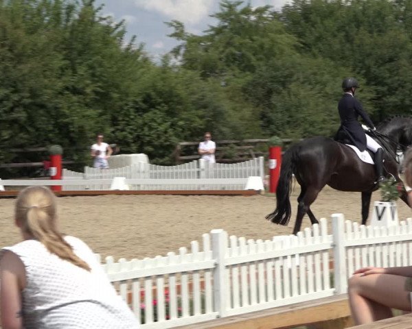 Reitturnier Schillerslage 2022