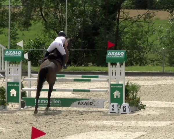 Reitturnier Maienfeld 2022