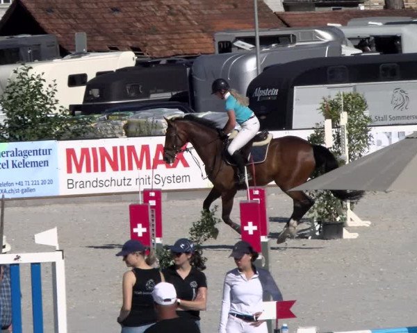 Reitturnier Gossau 2022