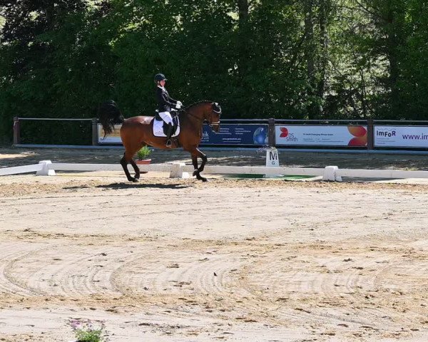 Reitturnier Uder, Reitanlage Kobold 2022