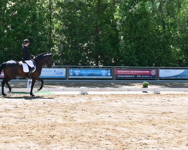 Reitturnier Uder, Reitanlage Kobold 2022