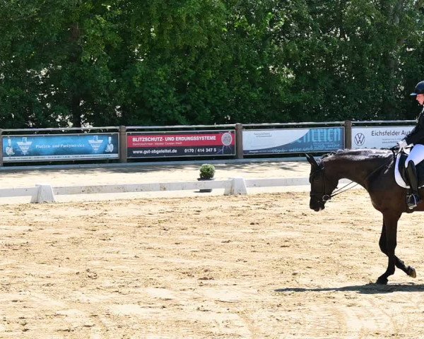 Reitturnier Uder, Reitanlage Kobold 2022