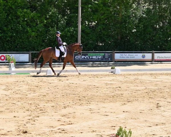 Reitturnier Uder, Reitanlage Kobold 2022