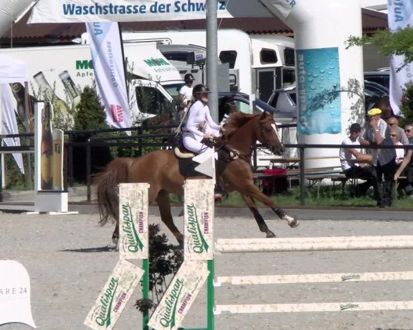 Reitturnier Gossau 2022