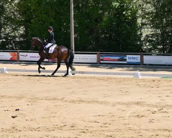Reitturnier Uder, Reitanlage Kobold 2022