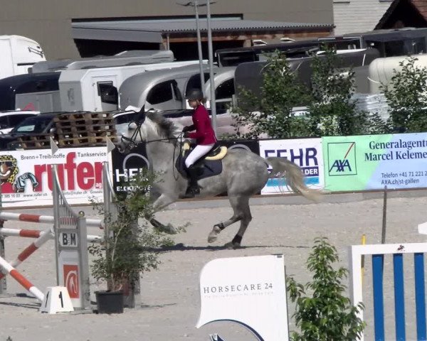 Reitturnier Gossau 2022