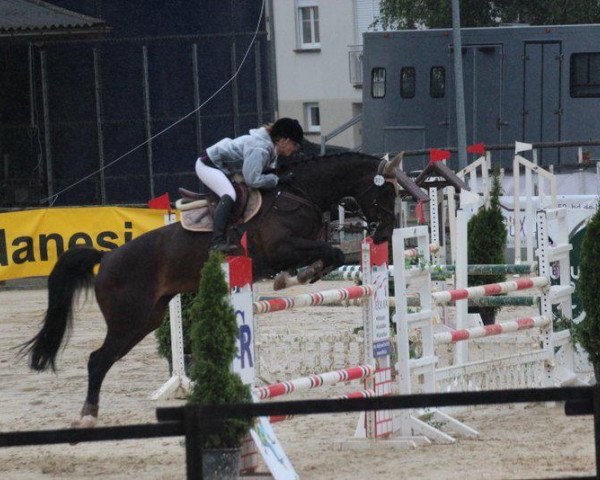 jumper Rubertha (KWPN (Royal Dutch Sporthorse), 2005, from Odermus R)