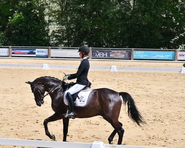 Reitturnier Uder, Reitanlage Kobold 2022