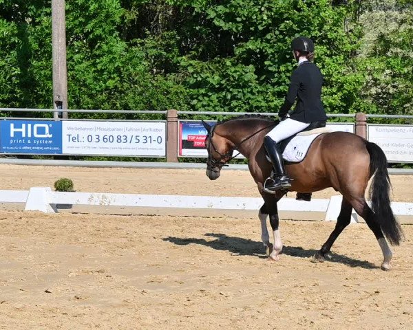 Reitturnier Uder, Reitanlage Kobold 2022