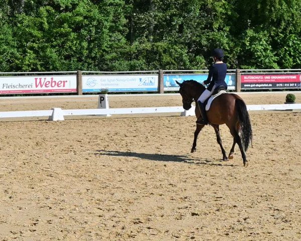 Reitturnier Uder, Reitanlage Kobold 2022